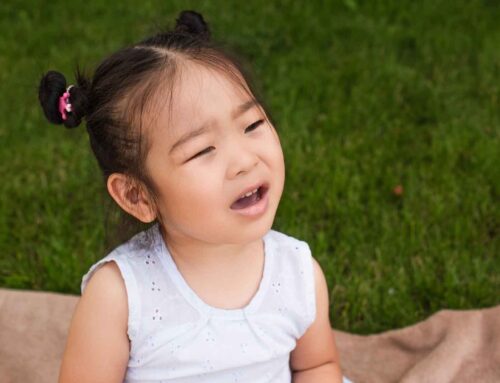 Using Visual Supports in Speech Therapy: A Phnom Penh Approach to Communication